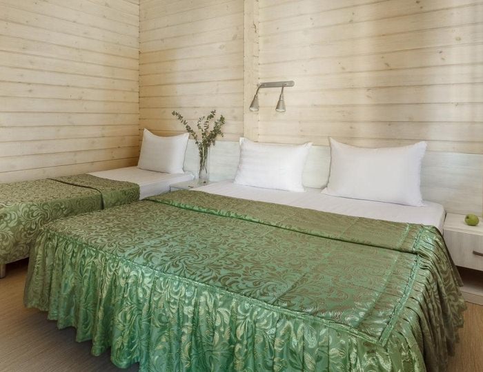 Стандарт - Курортный комплекс Pontos Family Resort Zarya / Понтос Фэмили Резорт Заря